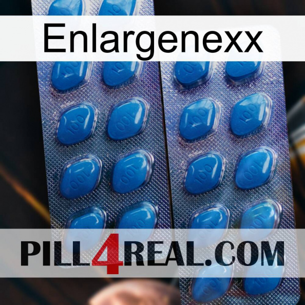 Enlargenexx viagra2.jpg